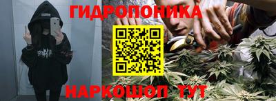 молекула духа Камышлов
