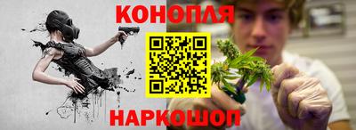 молекула духа Камышлов