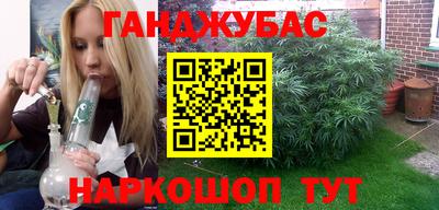 молекула духа Камышлов