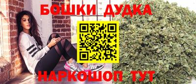 молекула духа Камышлов