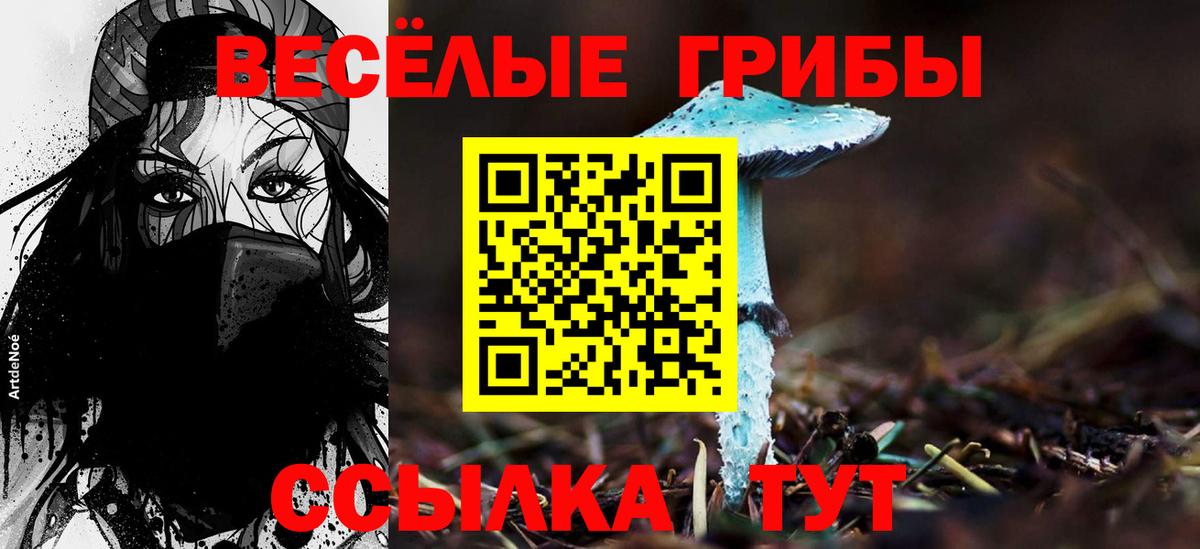 Псилоцибиновые грибы ЛСД  Вход с VPN  купить наркотик  Псилоцибиновые грибы мухоморы  Людиново 